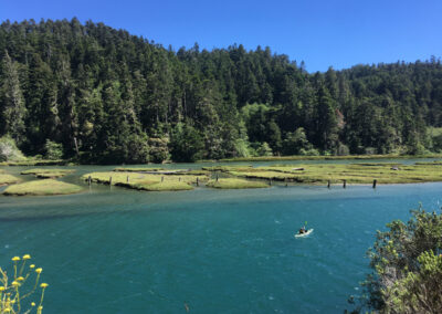 Exploring California’s Marine Protected Areas: Big River Estuary State Marine Conservation Area