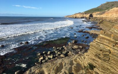Exploring California’s Marine Protected Areas: Cabrillo State Marine Reserve