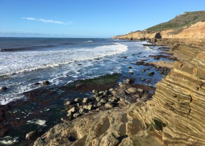 Exploring California’s Marine Protected Areas: Cabrillo State Marine Reserve