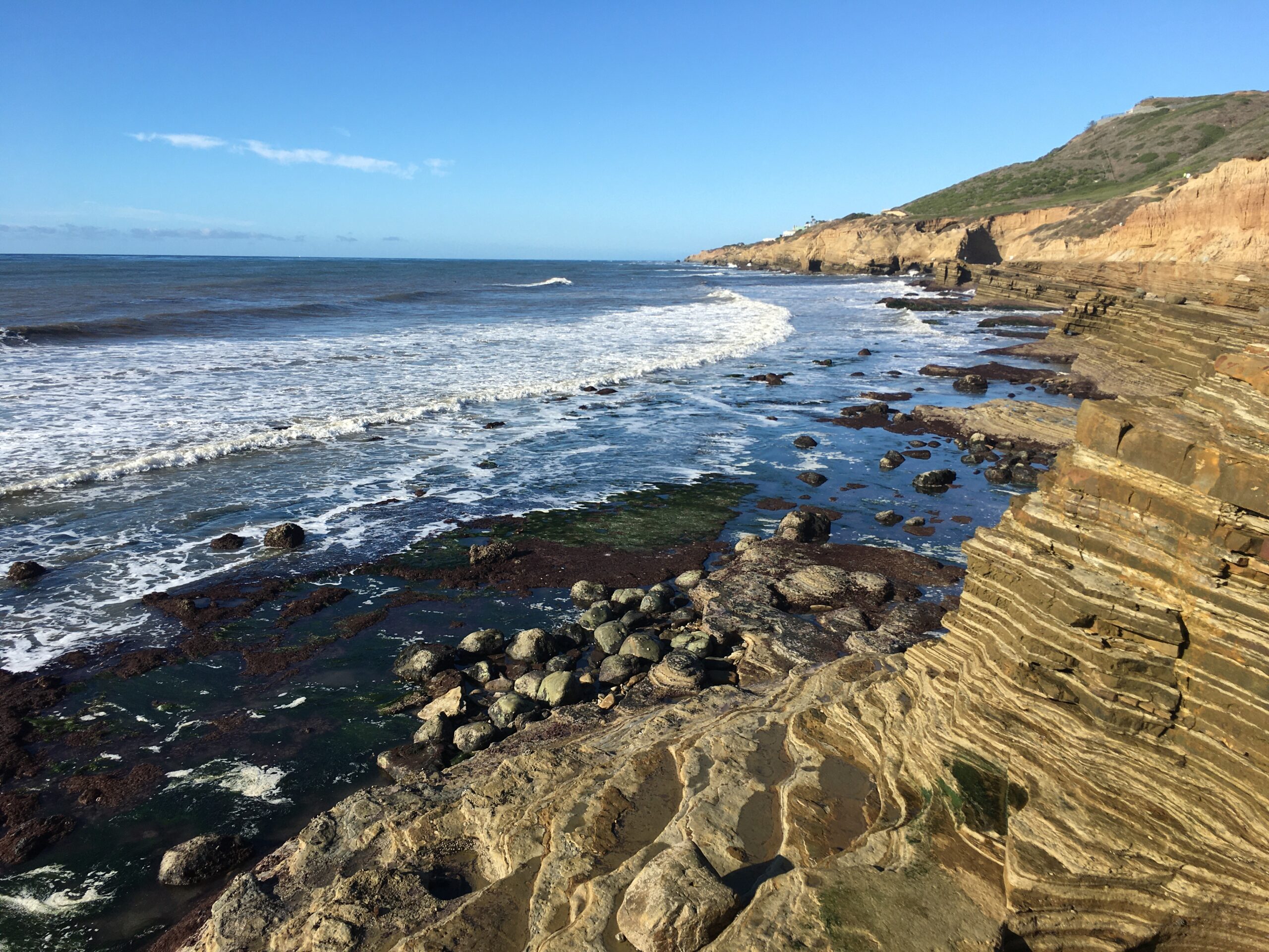Exploring California’s Marine Protected Areas: Cabrillo State Marine Reserve
