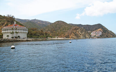 Exploring California’s Marine Protected Areas: Casino Point State Marine Conservation Area