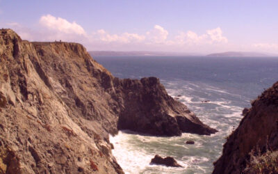 Exploring California’s Marine Protected Areas: Bodega Head State Marine Reserve and Bodega Head State Marine Conservation Area