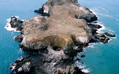 Exploring California’s Marine Protected Areas: Castle Rock Special Closure