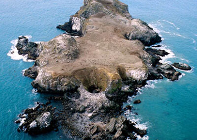 Exploring California’s Marine Protected Areas: Castle Rock Special Closure