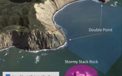 Exploring California’s Marine Protected Areas: Double Point/Stormy Stack Rock Special Closure
