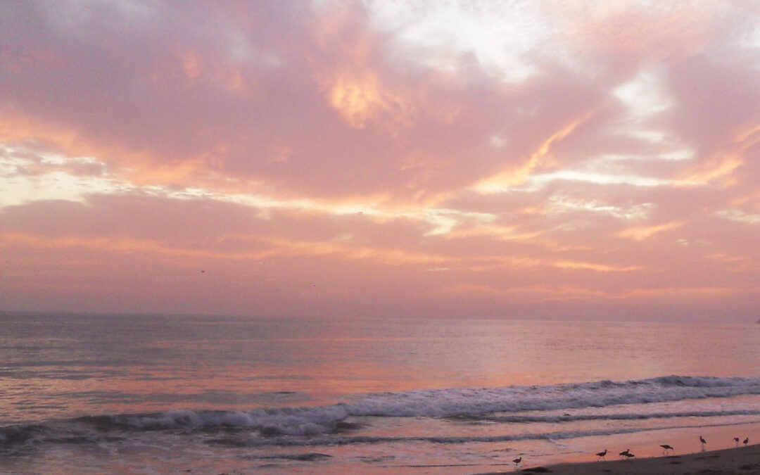 Exploring California’s Marine Protected Areas: Kashtayit State Marine Conservation Area