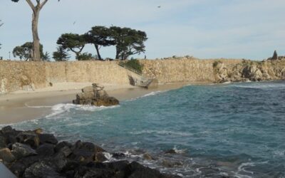 Exploring California’s Marine Protected Areas: Lovers Point-Julia Platt State Marine Reserve