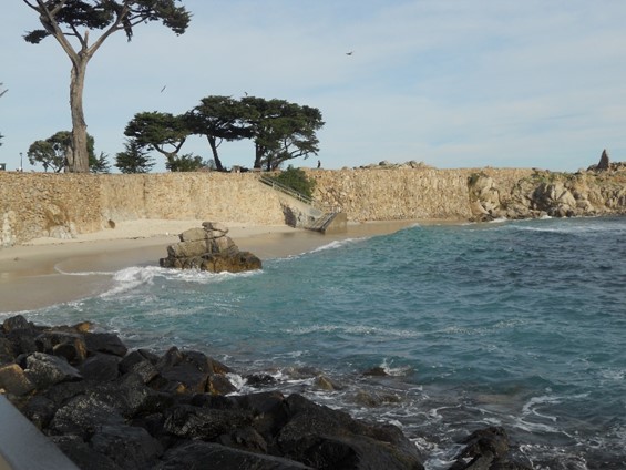 Exploring California’s Marine Protected Areas: Lovers Point-Julia Platt State Marine Reserve