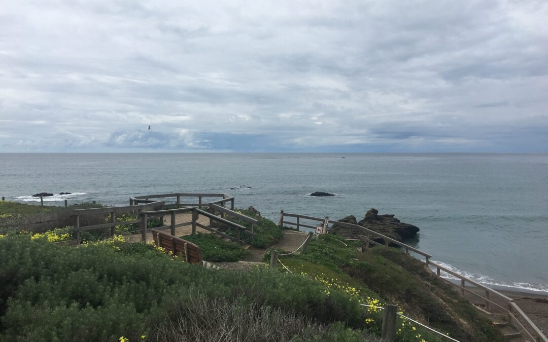 Exploring California’s Marine Protected Areas: Cambria State Marine Conservation Area