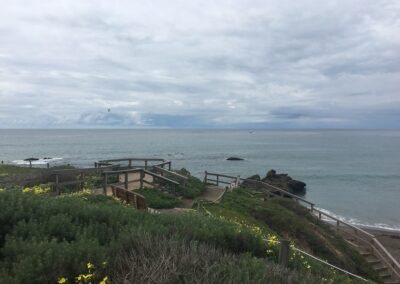 Exploring California’s Marine Protected Areas: Cambria State Marine Conservation Area