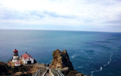 Exploring California’s Marine Protected Areas: Point Reyes State Marine Reserve