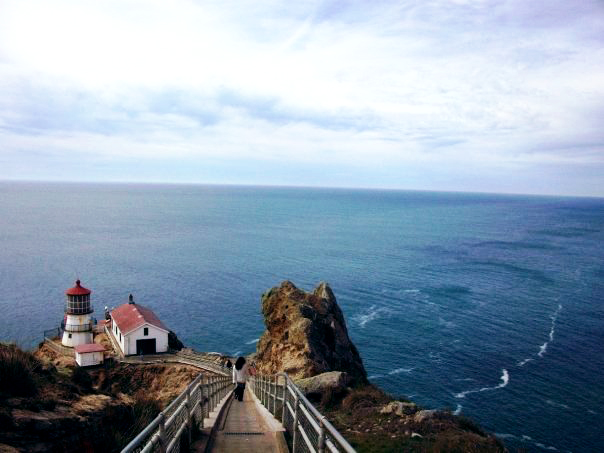 Exploring California’s Marine Protected Areas: Point Reyes State Marine Reserve