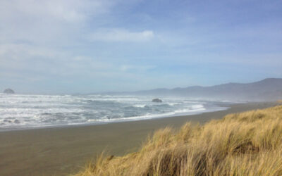 Exploring California’s Marine Protected Areas: Pyramid Point State Marine Conservation Area