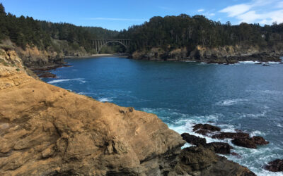 Exploring California’s Marine Protected Areas: Russian Gulch State Marine Conservation Area