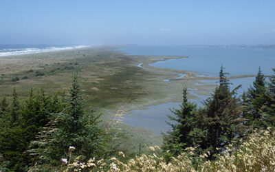 Exploring California’s Marine Protected Areas: South Humboldt Bay State Marine Recreational Management Area (Part One)