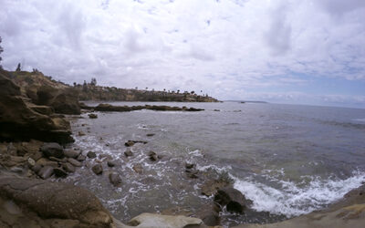 Exploring California’s Marine Protected Areas: South La Jolla State Marine Reserve