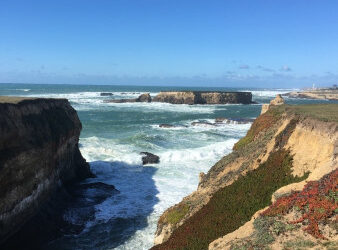 Exploring California’s Marine Protected Areas: Sea Lion Cove State Marine Conservation Area
