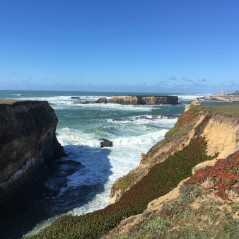 Exploring California’s Marine Protected Areas: Sea Lion Cove State Marine Conservation Area