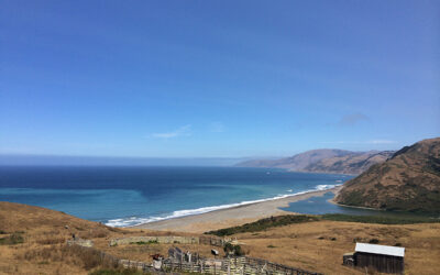 Exploring California’s Marine Protected Areas: Sea Lion Gulch State Marine Reserve