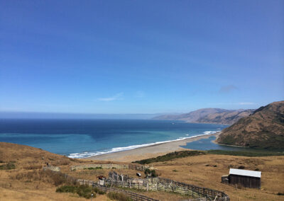 Exploring California’s Marine Protected Areas: Sea Lion Gulch State Marine Reserve