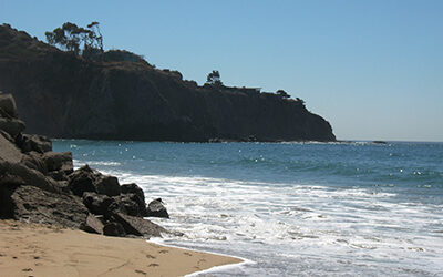 Exploring California’s Marine Protected Areas: Crystal Cove State Marine Conservation Area
