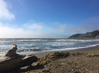 Exploring California’s Marine Protected Areas: Duxbury Reef State Marine Conservation Area