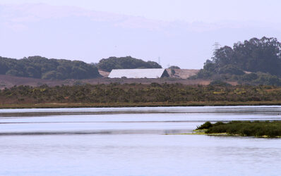 Exploring California’s Marine Protected Areas: Elkhorn Slough