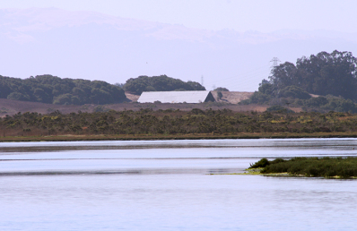 Exploring California’s Marine Protected Areas: Elkhorn Slough