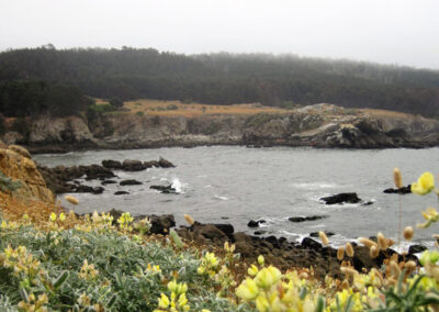 Exploring California’s Marine Protected Areas: Gerstle Cove State Marine Reserve