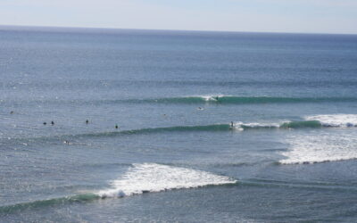 Exploring California’s Marine Protected Areas: Swami’s State Marine Conservation Area