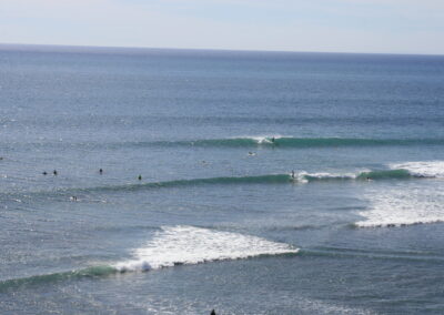 Exploring California’s Marine Protected Areas: Swami’s State Marine Conservation Area