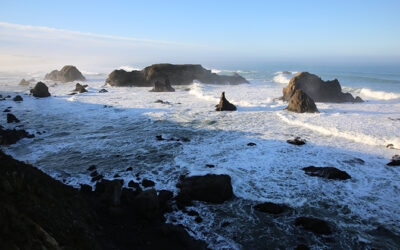 Exploring California’s Marine Protected Areas: Ten Mile Beach State Marine Conservation Area and Ten Mile State Marine Reserve