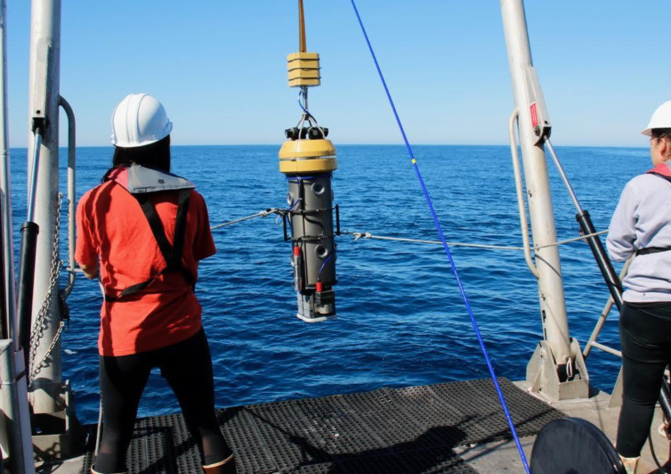 MPA update: A deep dive into the mid-depth rocky reef