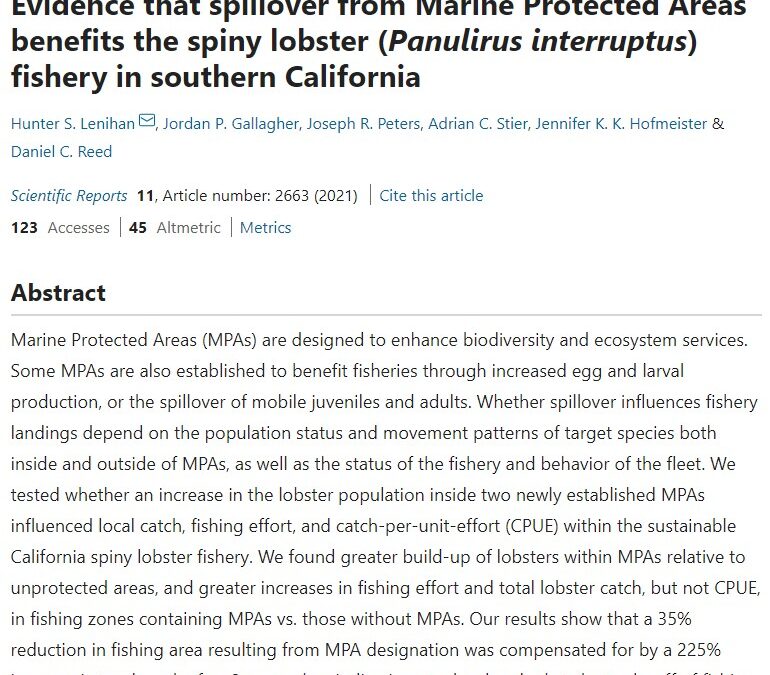 Evidence that spillover from Marine Protected Areas benefits the spiny lobster (Panulirus interruptus) fishery in southern California