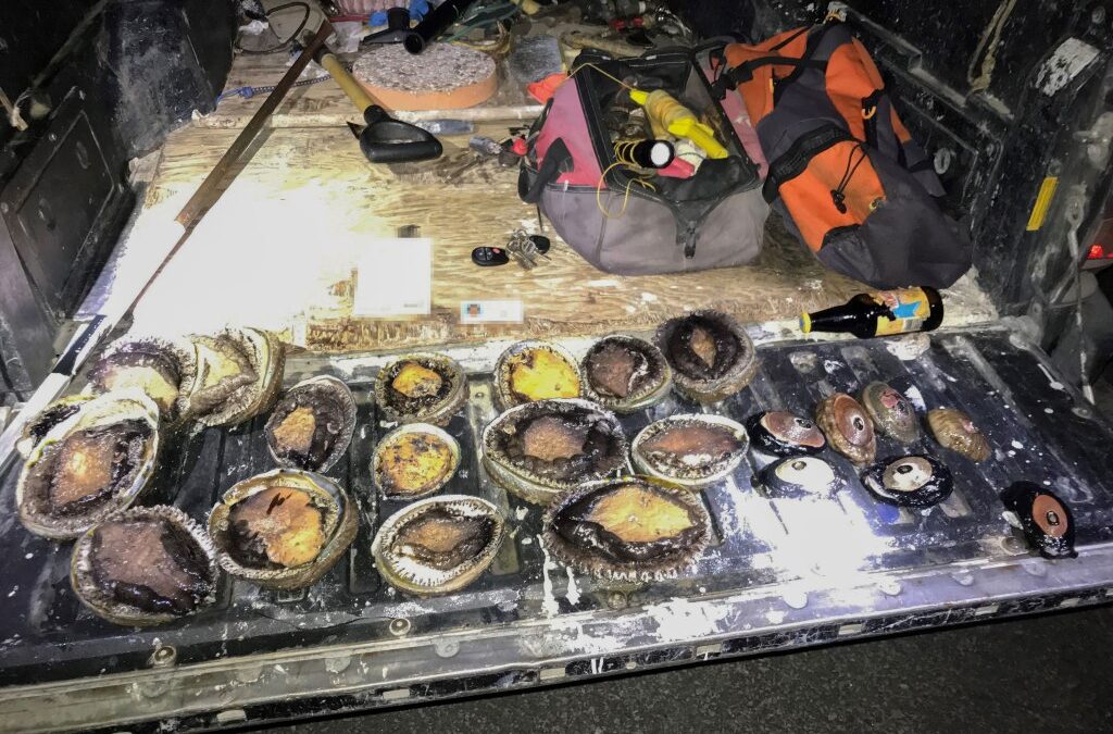 CDFW Wildlife Officer Works with Multiple Agencies to Stop Suspected Abalone Poachers in the Act