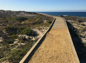 Exploring California’s Marine Protected Areas: Asilomar State Marine Reserve