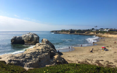 The Santa Cruz Marine Protected Area Collaborative: Partnering with Parks and More