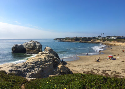 The Santa Cruz Marine Protected Area Collaborative: Partnering with Parks and More