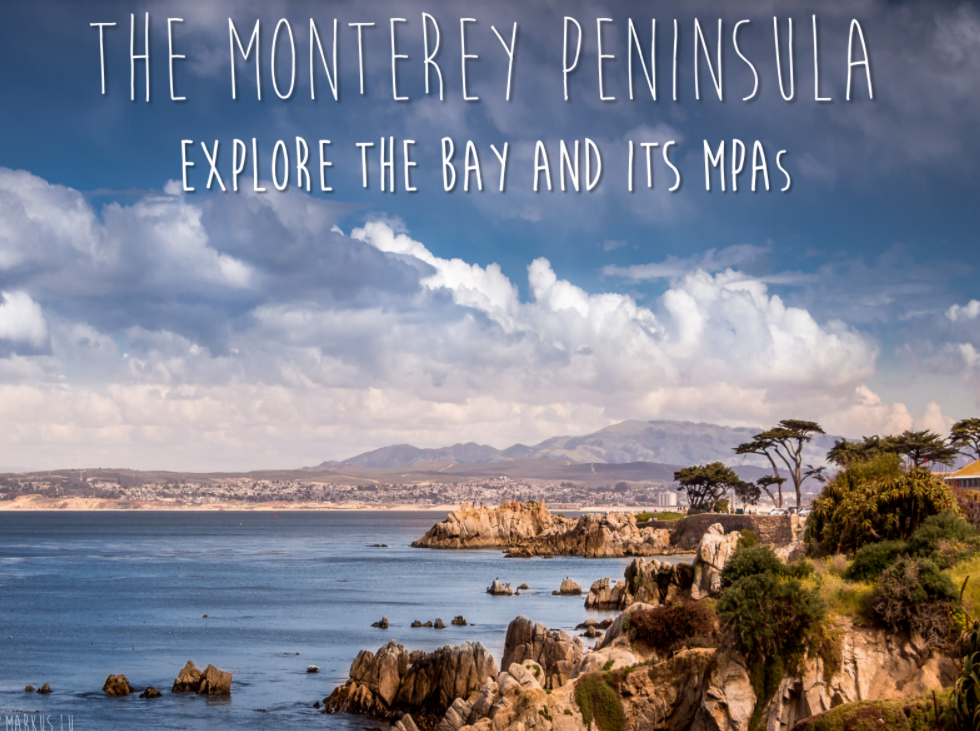 Monterey Peninsula Ocean Recreation Guide
