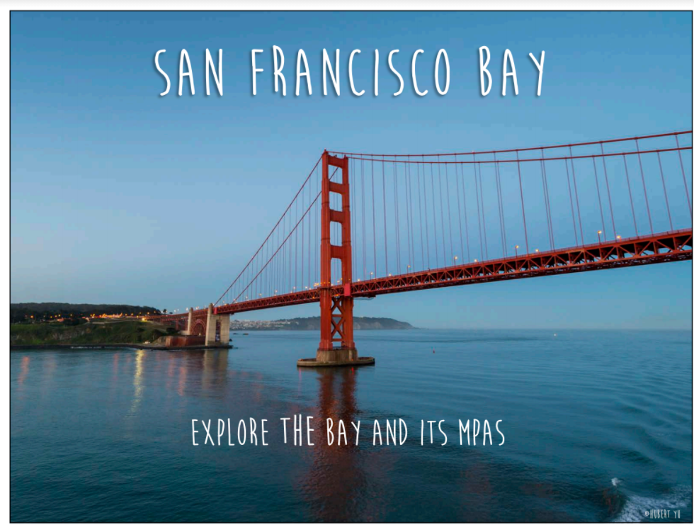 San Francisco Bay Area Ocean Recreation Guide