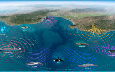 Understanding Underwater Noise in Monterey Bay National Marine Sanctuary