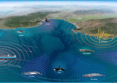 Understanding Underwater Noise in Monterey Bay National Marine Sanctuary