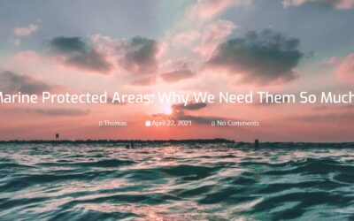 Marine Protected Areas: Why We Need Them So Much?