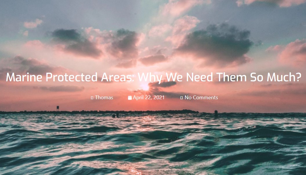 Marine Protected Areas: Why We Need Them So Much?