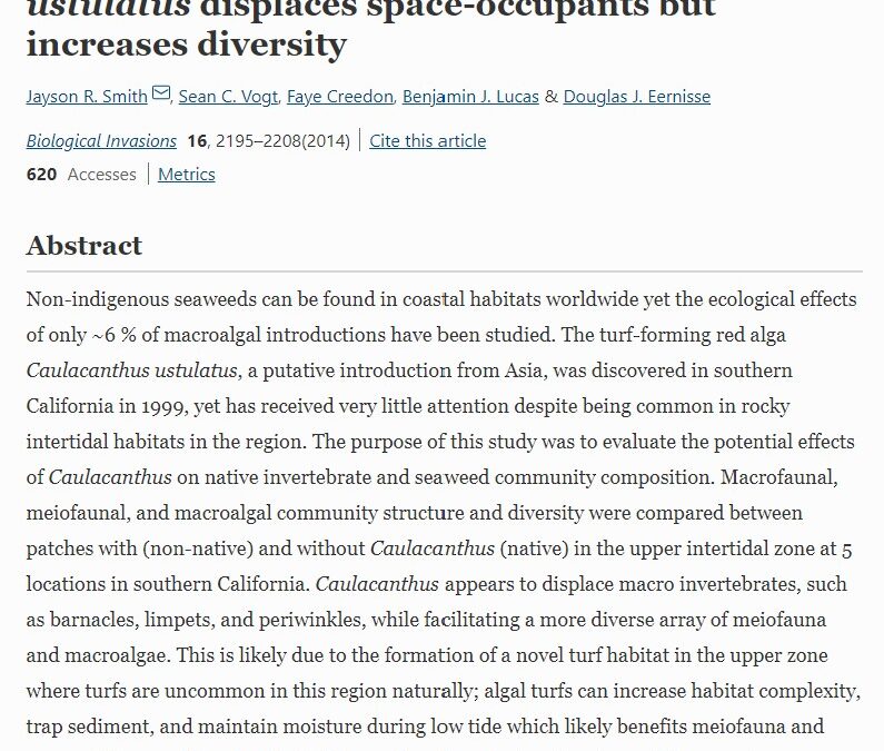 The non-native turf-forming alga Caulacanthus ustulatus displaces space-occupants but increases diversity