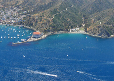 Signs of success for marine-protected areas off PV, Catalina