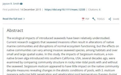 The putative impacts of the non‐native seaweed Sargassum muticum on native communities in tidepools of Southern California and investigation into the feasibility of local eradication