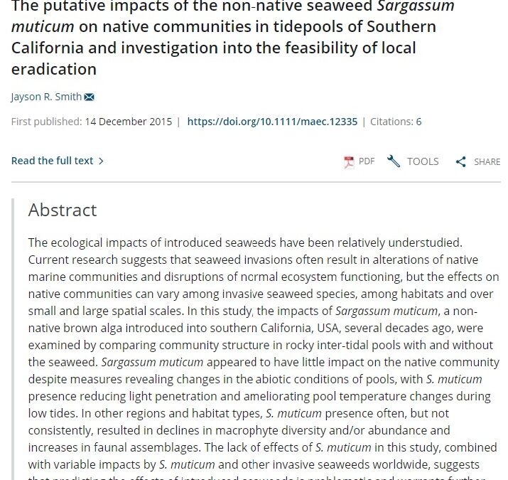 The putative impacts of the non‐native seaweed Sargassum muticum on native communities in tidepools of Southern California and investigation into the feasibility of local eradication