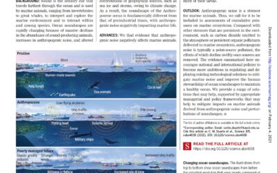 The soundscape of the Anthropocene ocean