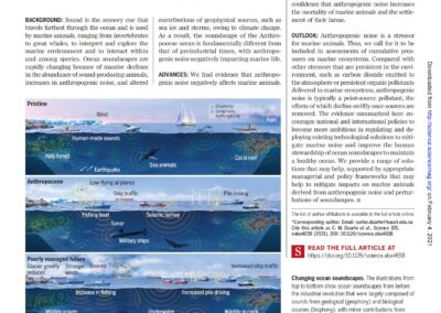 The soundscape of the Anthropocene ocean